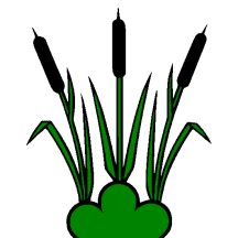 Rohr