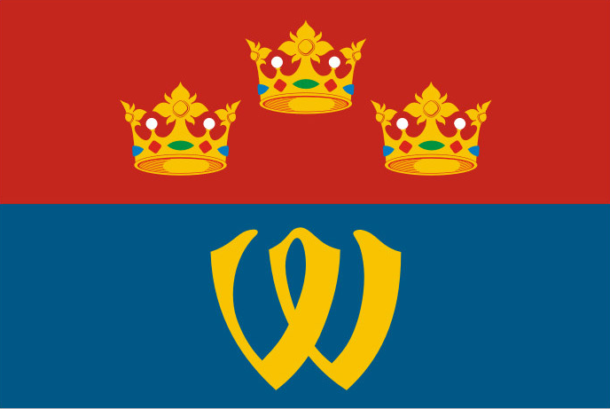 Vyborgsky District